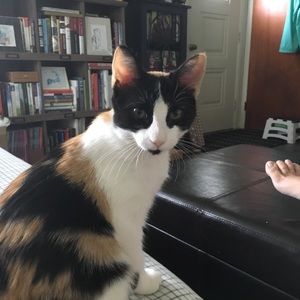 Meet your Posher, Lisa